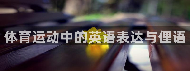 米兰体育官网下载平台假的吗是真的吗吗:体育运动中的英语表达与