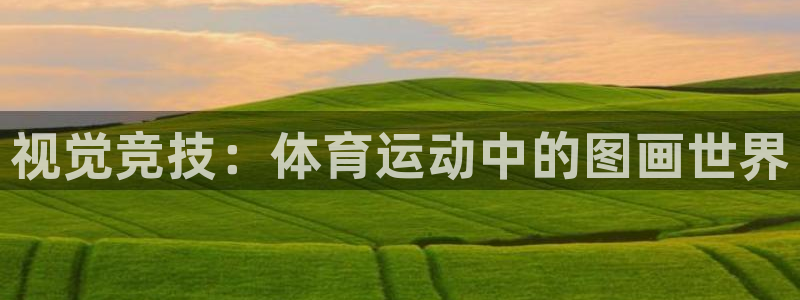 米兰体育官网下载招商:视觉竞技:体育运动中的图画世界