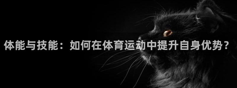 米兰体育官方正版app科技:体能与技能:如何在体育运动中提升
