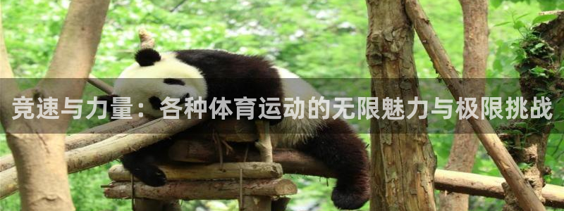 米兰体育官网下载联系电话:竞速与力量:各种体育运动的无限魅力