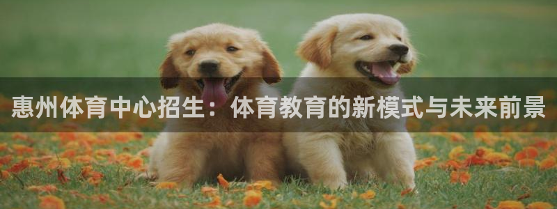米兰体育官网下载软件:惠州体育中心招生:体育教育的新模式与未